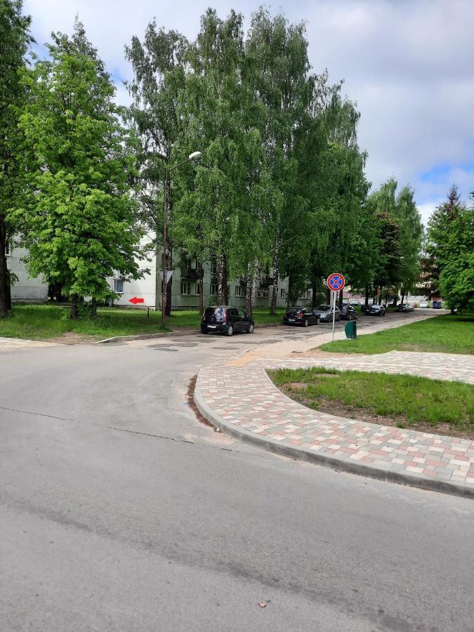 Luena Apartament Jełgawa Zewnętrze zdjęcie